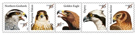 Dendroica: Birds on Stamps