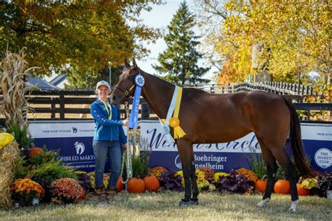 Beaver Dam Woman Takes Home Several Awards During Horse Competition | Daily Dodge