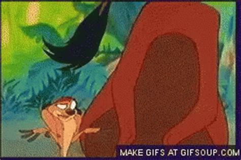 Timon Pumbaa GIF - Timon Pumbaa Funny - GIF 탐색 및 공유