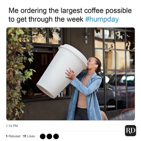 25 Hump Day Memes That Make Wednesdays Bearable | Reader's Digest