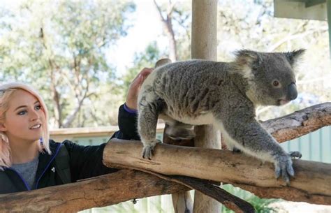 Volunteer in Australia - Wild Animal Sanctuary | Wild animal sanctuary ...