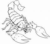 Scorpion Coloring Page sketch template