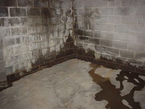 Basement Floor Seepage Repair – Flooring Blog