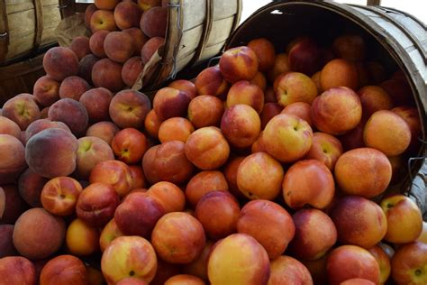 Torrance Farmers' Market - Discover Torrance