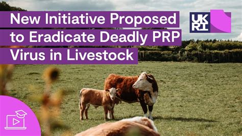 New Initiative Proposed to Eradicate Deadly #PPR Virus in #Livestock ...