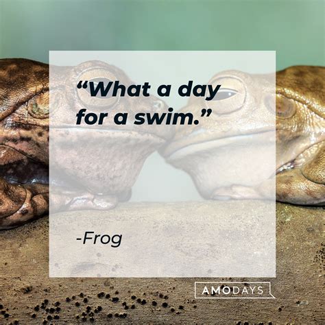 40 Adorable ‘Frog and Toad Are Friends’ Quotes