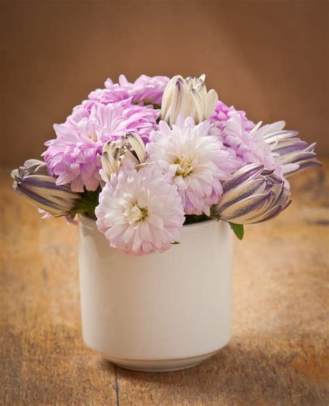 Beautiful Aster Flower Bouquet Stock Images - Image: 33197494