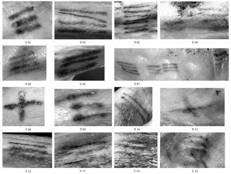 Scientists Have Mapped All of Ötzi the Iceman's 61 Tattoos | Ötzi the ...