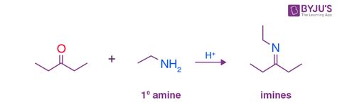 Amine Amide Imine - Introduction Synthesis and Difference between Amine Amide Imine.