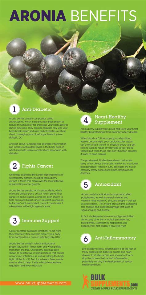 The Amazing Super Fruit Aronia Berry: 6 Health Benefits