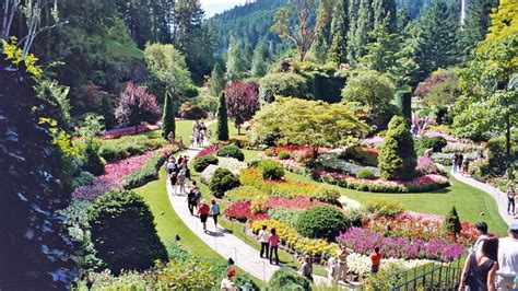 Lockwood Lavender Farm: Butchart Gardens in Vancouver Island, Canada