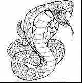 Snakes Printable Coloring Pages sketch template