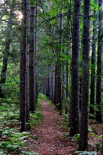 Chequamegon National Forest | Long Lake Trail | Jon Walworth | Flickr