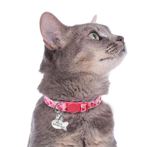 Personalized Cat Breakaway Collar Quick Release Buckle Fish ID Name Tag Engraved | eBay