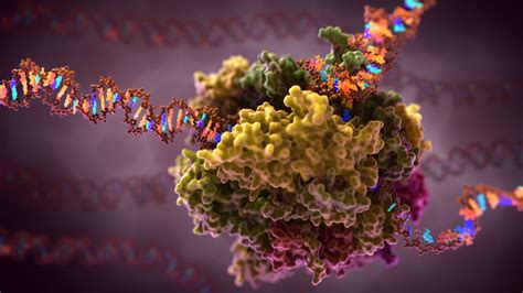 RNA Polymerase Transcription: Scientific Illustration GIF - Medical & Scientific Video Animation ...