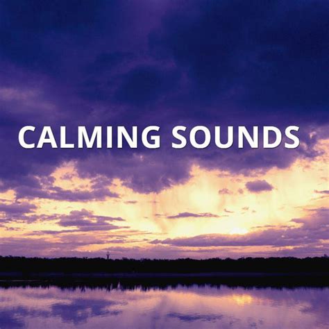 Calming Sounds on Spotify