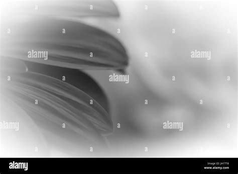 Sympathy background hi-res stock photography and images - Alamy