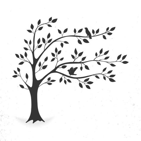 2,400+ Willow Tree Silhouette Stock Photos, Pictures & Royalty-Free ...