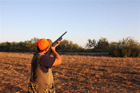 New dove-hunting in Arizona season features increased bag limit – Cronkite News