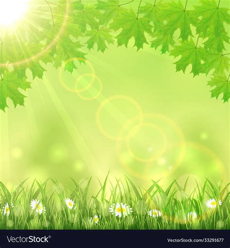 Summer green nature background Royalty Free Vector Image