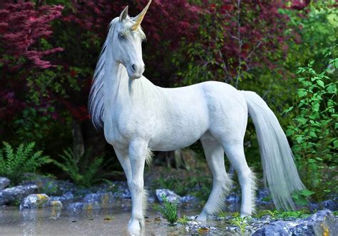 Huyền thoại kỳ lân unicorn bắt nguồn từ đâu, sự thật khiến tất cả bất ngờ