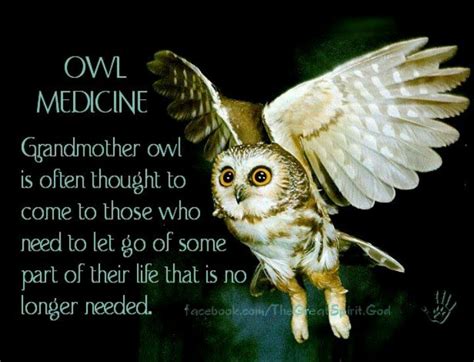 Owl Moon Quotes. QuotesGram