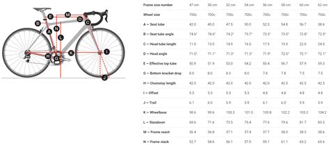 Trek Domane AL 2 - Southern California Bike Shop | Jax Bicycle Center