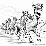 Camel Coloring Pages  Free & Printable sketch template