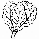 Swiss chard Vegetable Outline coloring Book page Line Art Drawing  sketch template