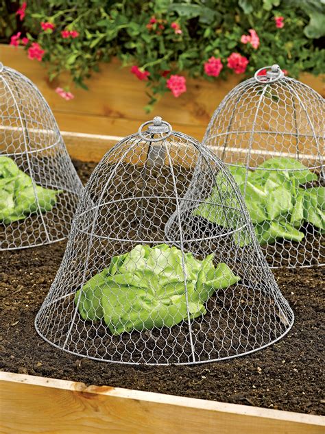 Chicken Wire Cloche Plant Protector, 3-in-1 | Gardeners.com | Vegetable garden design, Garden ...