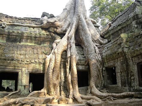 Free Images : tree, old, monument, formation, statue, ruin, place of worship, sculpture, ruins ...