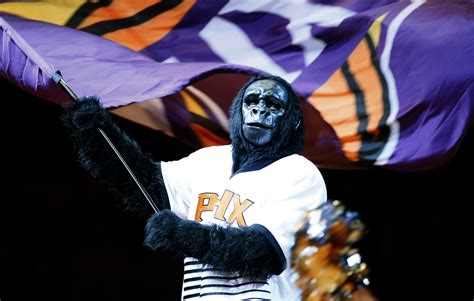 Survey: Phoenix Suns gorilla mascot third-worst in the NBA