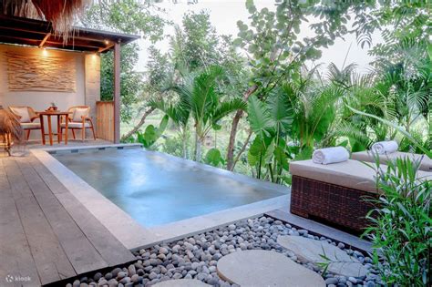 Wellness Retreat Experience at Fivelements Retreat Bali - Klook Stati Uniti