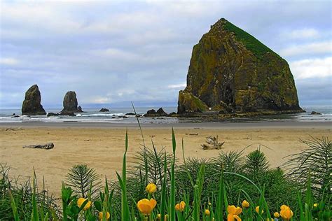 Haystack Rock Photos - Cannon Beach