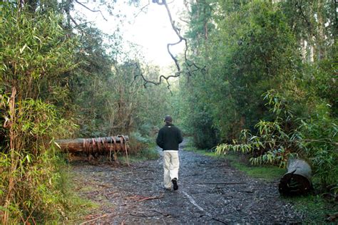 Keys Down Under: Dandenong Ranges National Park