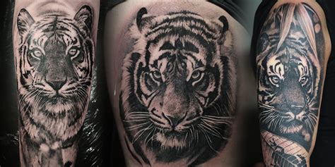 Tiger tattoos – Angelique Grimm