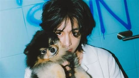 BTS's V's dog Yeontan debuts in his solo song Rainy Days - But is it ...