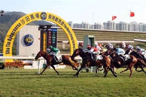 Experience Live Horse Racing in Hong Kong | Nomad