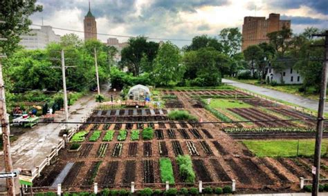 Twelve Organizations Promoting Urban Agriculture around the World ...