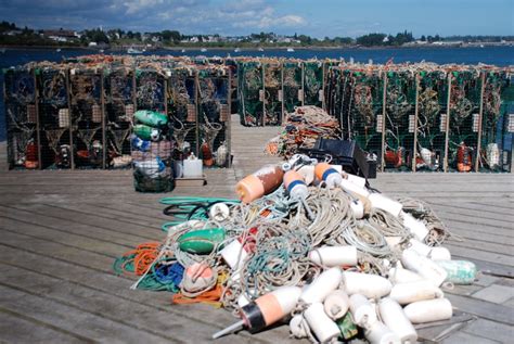 Jonesport, Maine lobster traps and buoys | bouys and traps | Rex ...