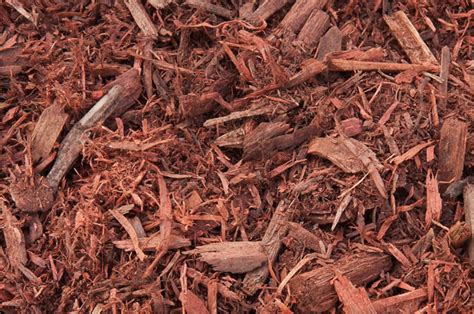 Western Red Cedar Natural Mulch | Mavroff Inc.