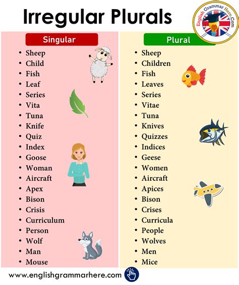 Irregular Plurals | Irregular Plurals Noun in English - English Grammar Here