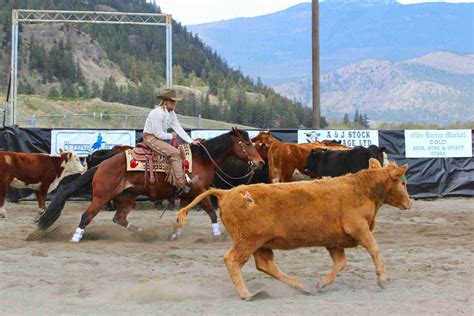 Brindle Horses: Breeds And Their Genetics - Smarter Horse