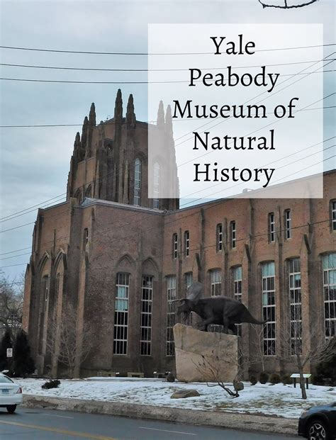 Exploring the Yale Peabody Museum