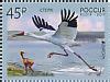 Siberian Crane stamps - mainly images - gallery format
