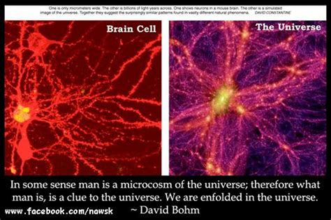 The human brain looks suspiciously like the universe - Strange Sounds