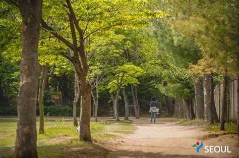 Yongsan Family Park - Seoul