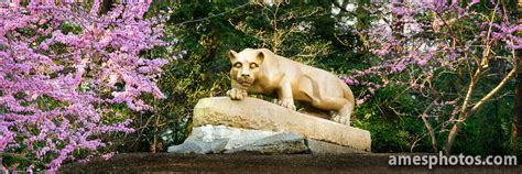 Nittany Lion Shrine Photos by William Ames