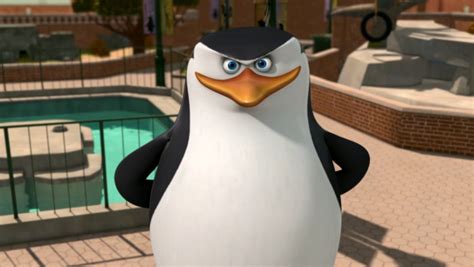 Skipper - Skipper: The penguins of madagascar Photo (31445360) - Fanpop