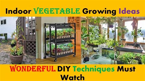 DIY Indoor Vegetable Growing Ideas | Indoor vegetable Garden | Indoor Vegetable Plants ...